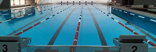 _SwimDad banner