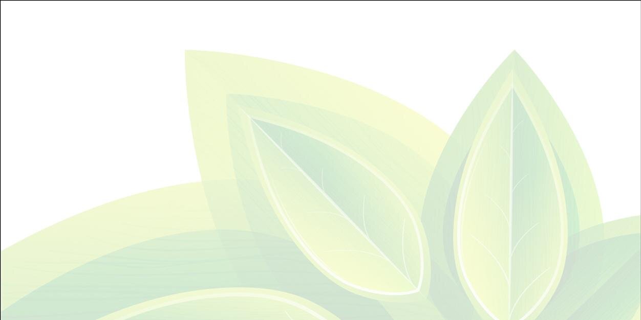 VitaChiDetox's profile banner image