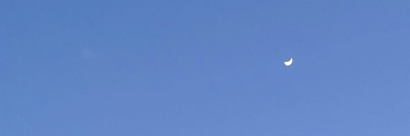 saeda_tani's profile banner image