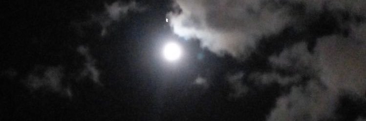 Neens998's profile banner image