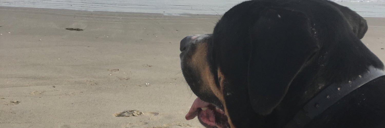 Tiffytoo2's profile banner image