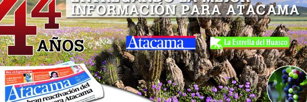 El Diario de Atacama Profile Banner