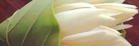 Midhu03's profile banner image