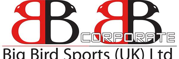 BigBirdPromo Profile Banner