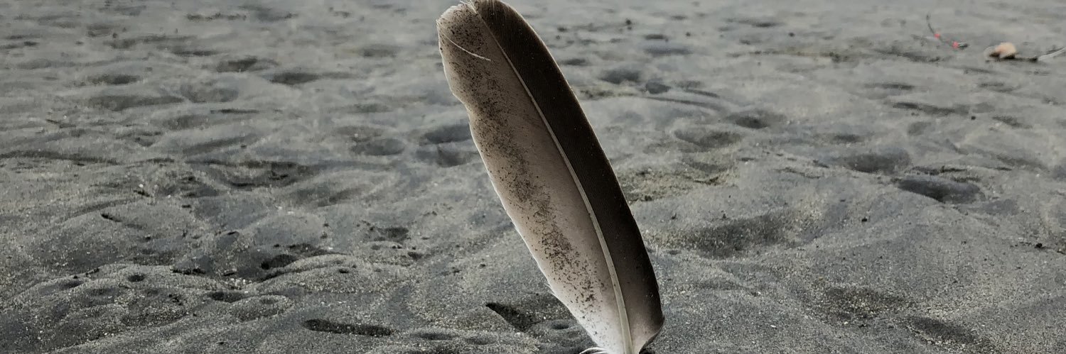 ThePrinceps (•.~)d banner