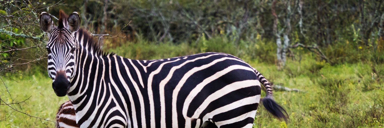 Eric Rwigamba banner