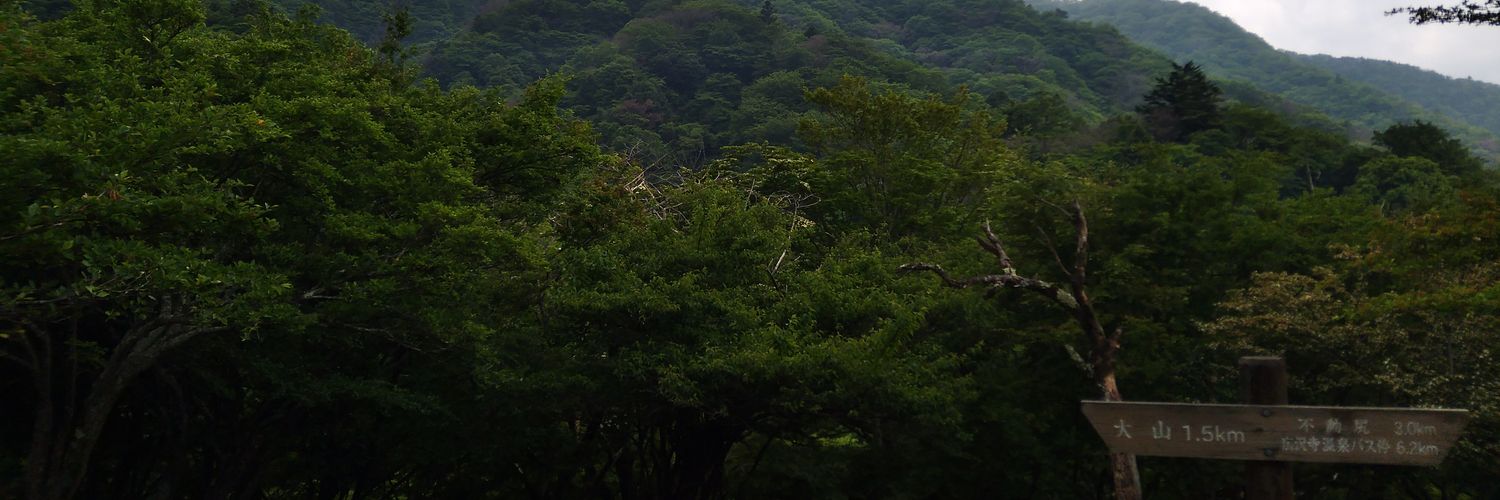 ysmrmsr's profile banner image