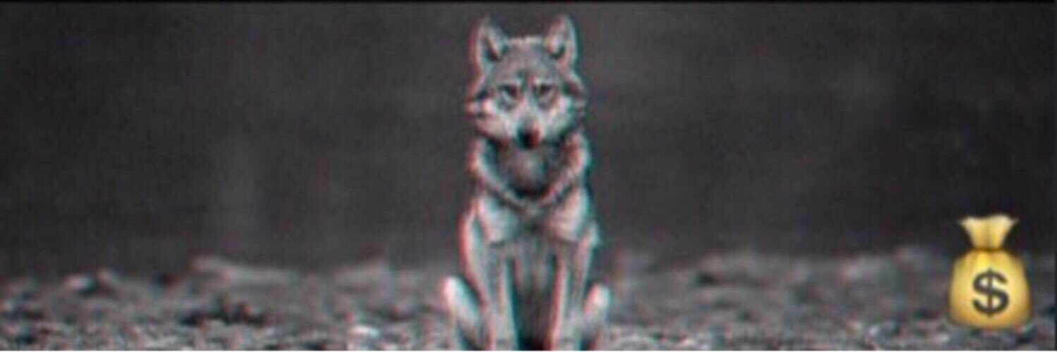 TheRealNadir's profile banner image