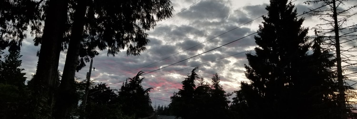 TGIFloFlo's profile banner image