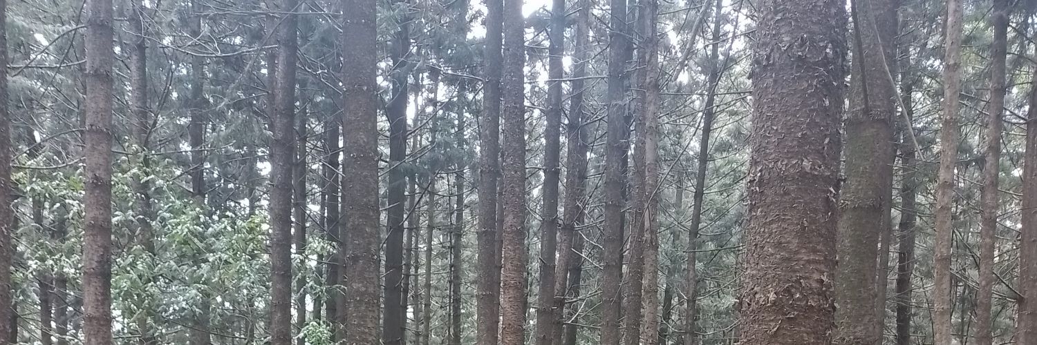 MrDeAlpha's profile banner image