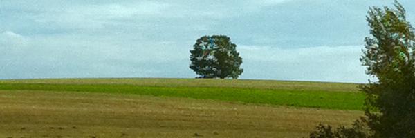 sigurdvincent Profile Banner