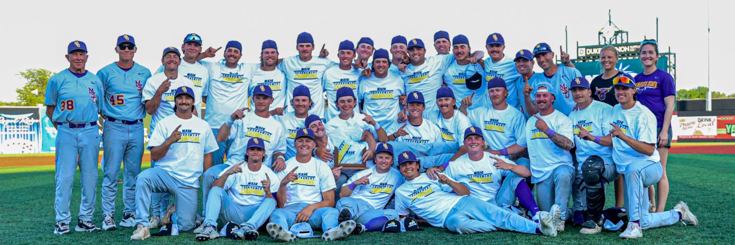 Minn State Baseball's banner