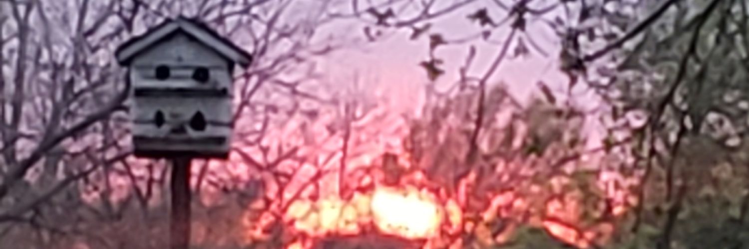 Flipkansascity's profile banner image