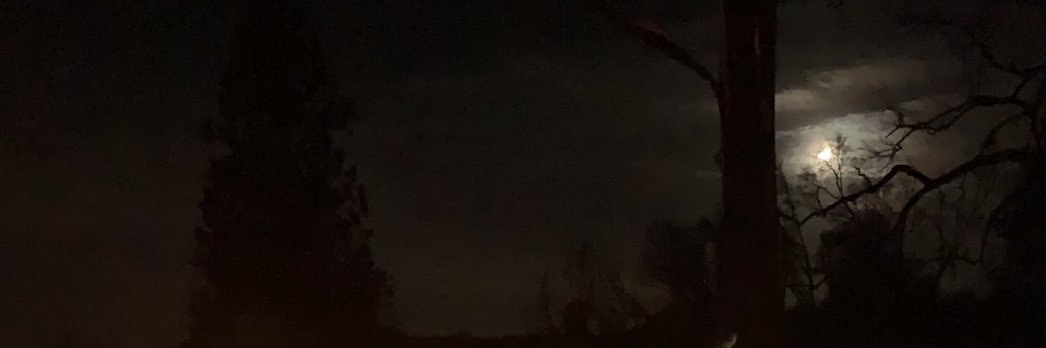 captainfink4130's profile banner image