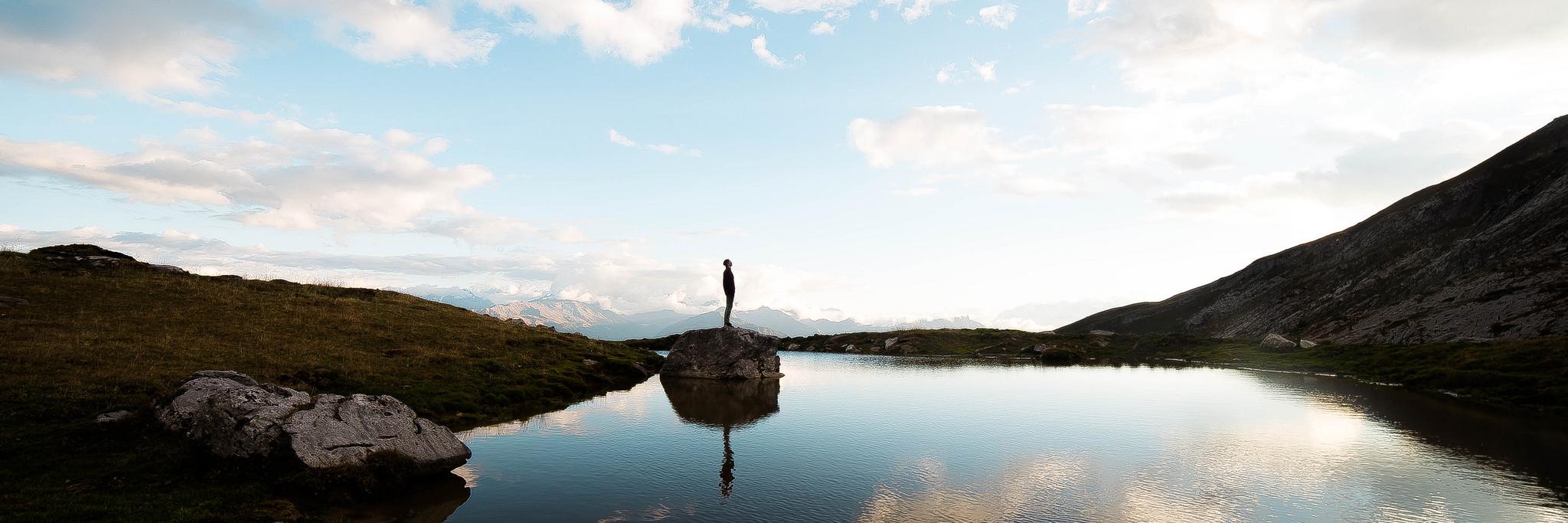 Vault Dweller banner