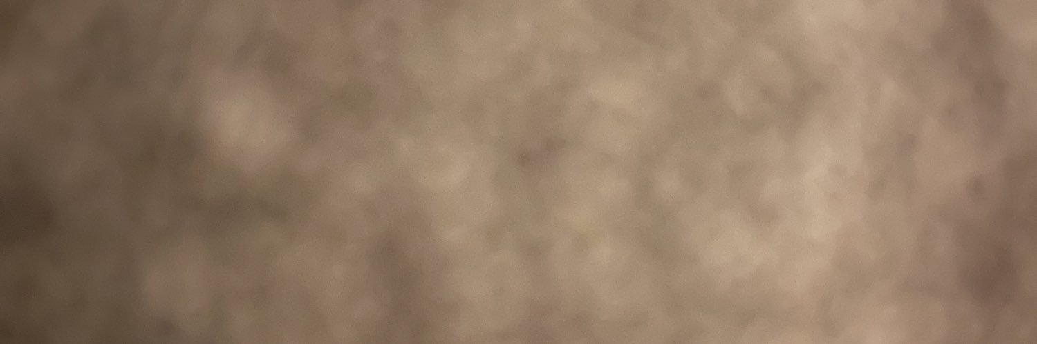 AnkeMarsh's profile banner image
