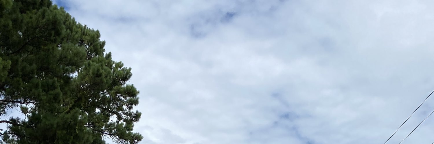 Levipicksem ⭐️ banner