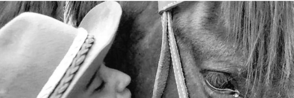 Valvazcam's profile banner image