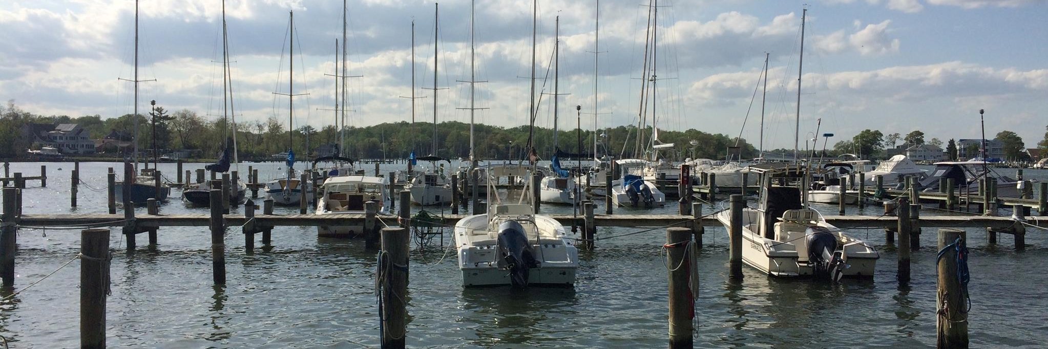 Kate C. Mills banner