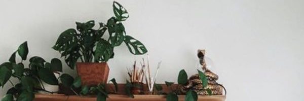Pinocchio818's profile banner image