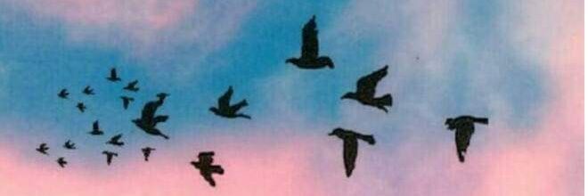 Carol_TrejosB's profile banner image