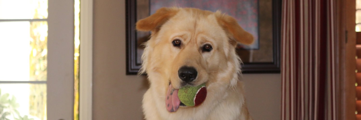 alyssacolbert07's profile banner image