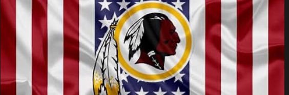 Virginian Conservative banner