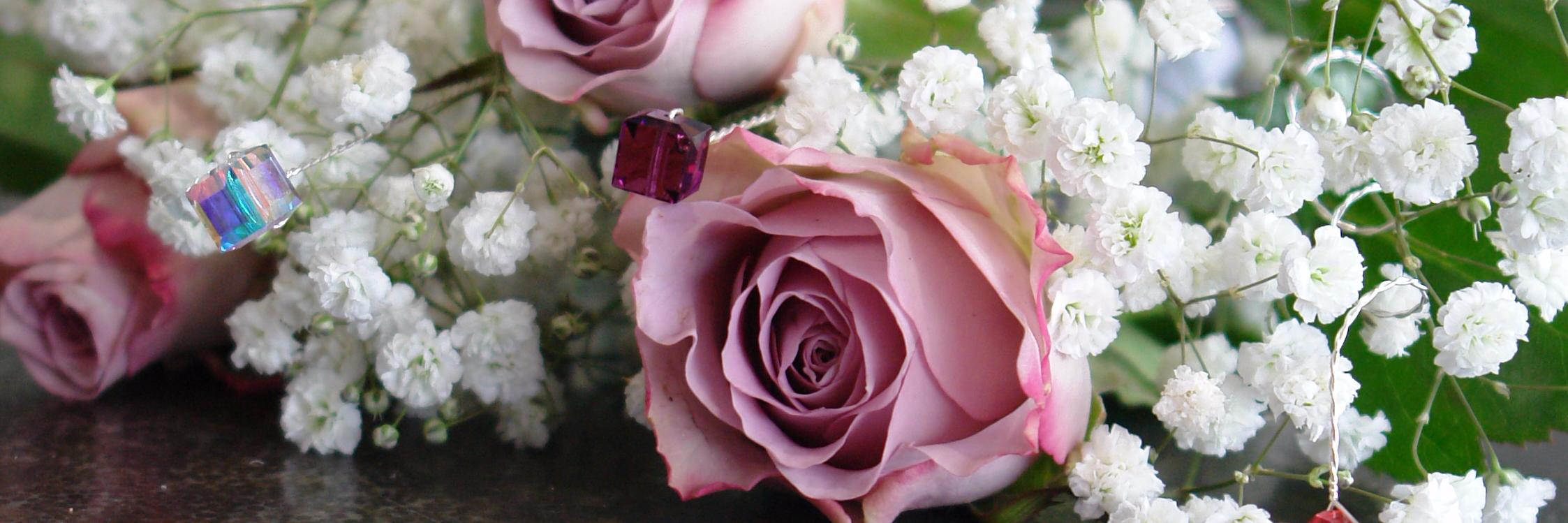 daisydooashby's profile banner image