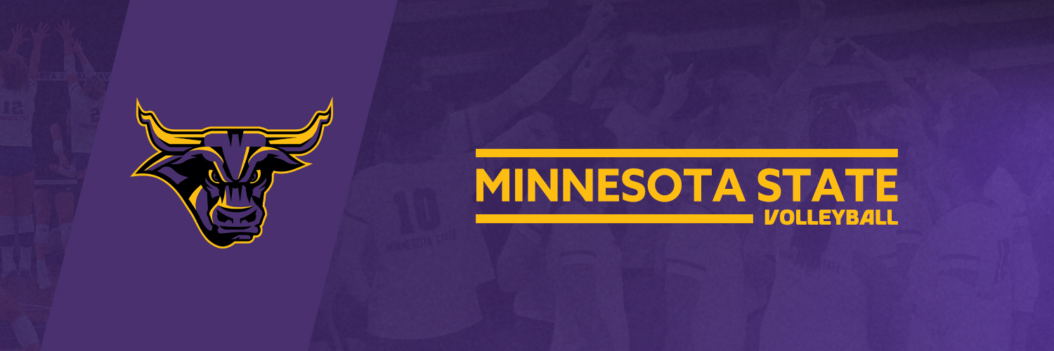 Minnesota State Volleyball banner
