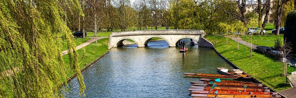 Cambridge Library Trainees banner
