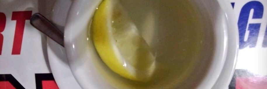 🍅🥦𓃠🛸📡👾🐾♡🪐💫(ФωФ)rainforest banner