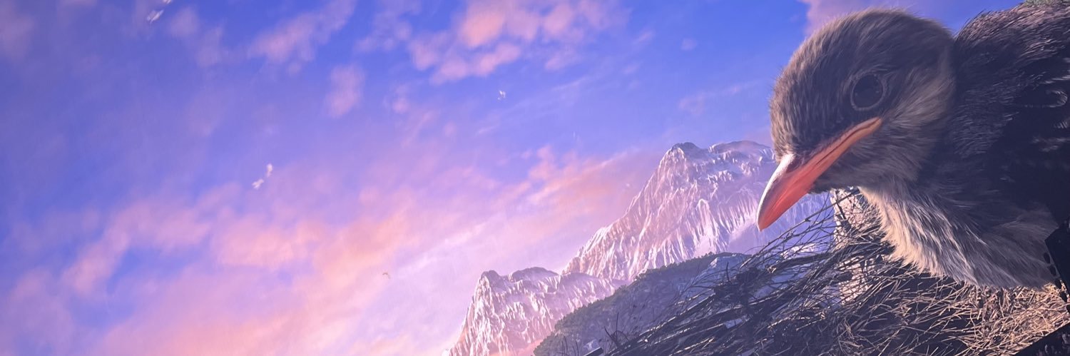 Art Faix banner