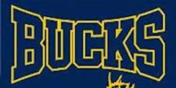 ladybucksbball's profile banner image