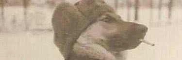 SOYPIPEAYALA's profile banner image