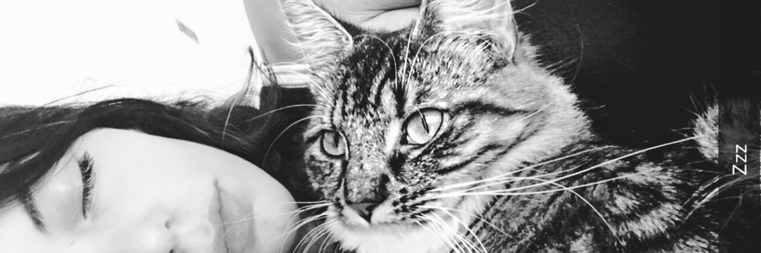 booblesxd's profile banner image