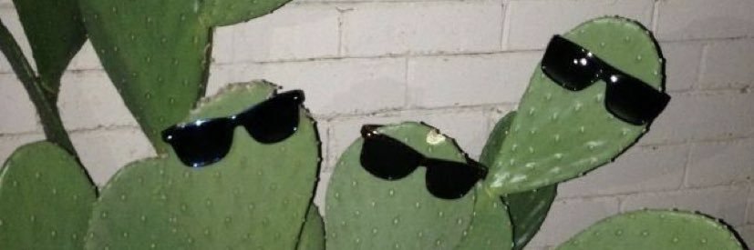 PeetersHelena's profile banner image