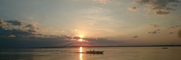 FernHow Profile Banner