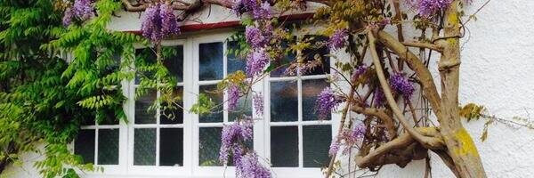 Coombe Dingle banner