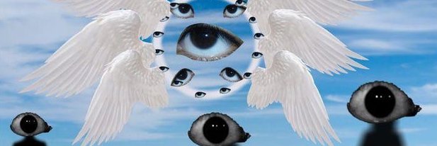 purge banner