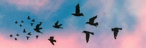 yien_y's profile banner image