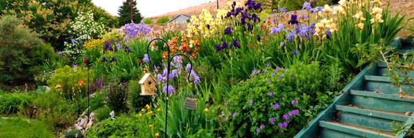 RainsHalcom Profile Banner