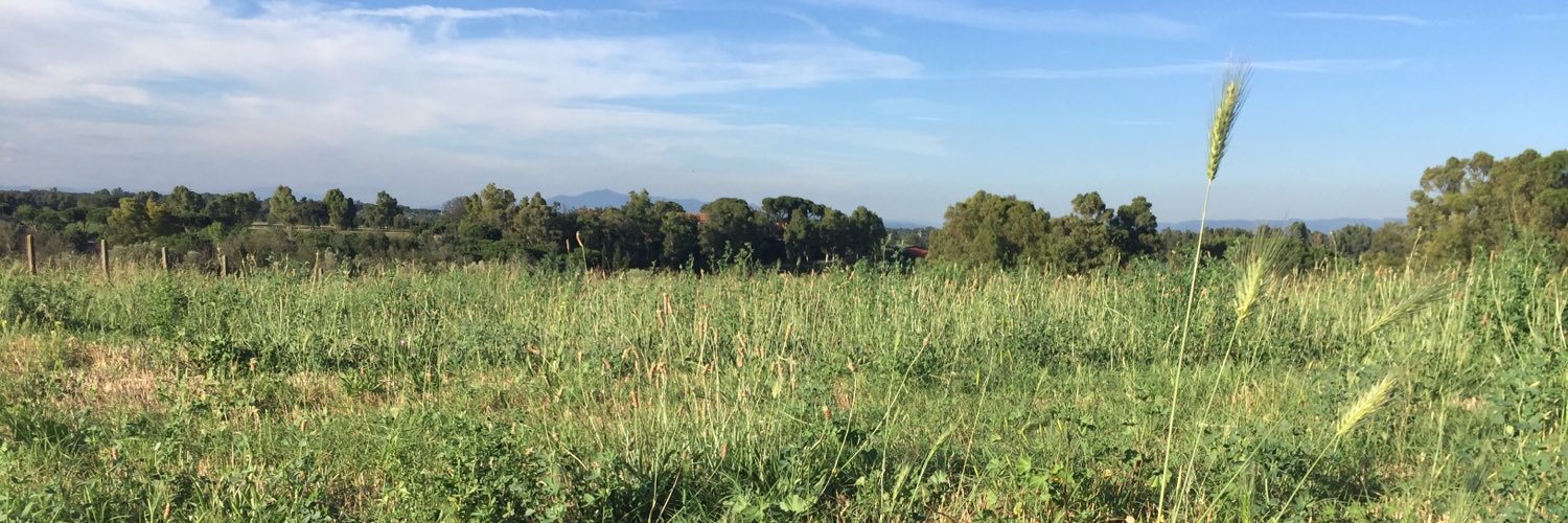 E_Belluzzo's profile banner image