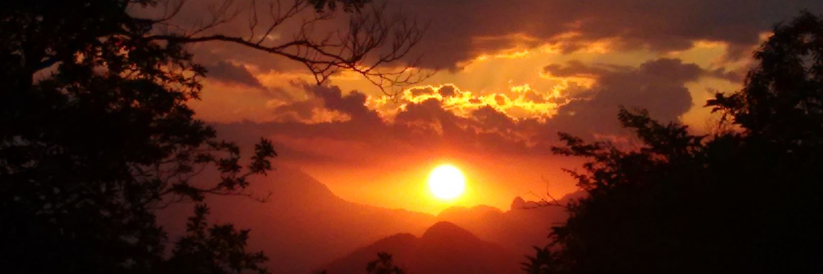 Camarao007's profile banner image