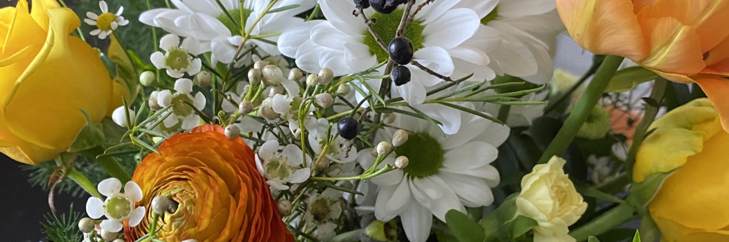 tvespc's profile banner image
