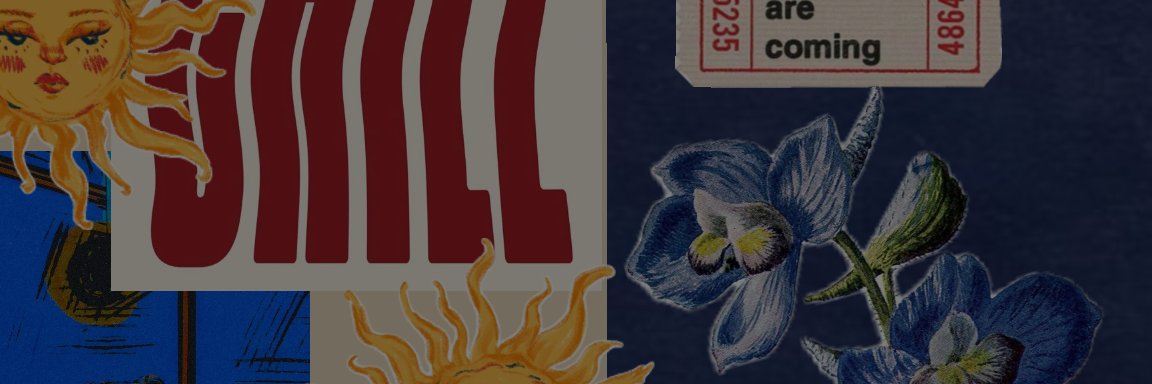StefiMaiale's profile banner image
