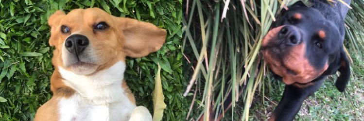 Tin_Pintos's profile banner image
