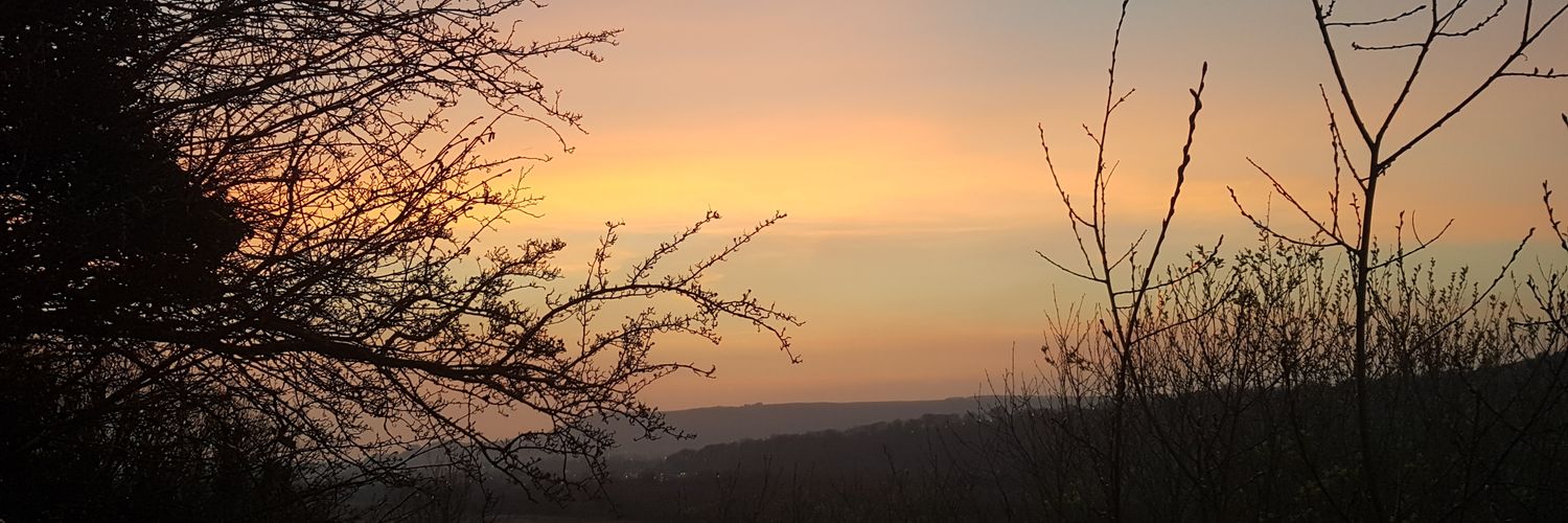 Tom 🏴󠁧󠁢󠁷󠁬󠁳󠁿🦢 banner