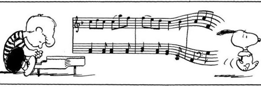 gatomallhado's profile banner image
