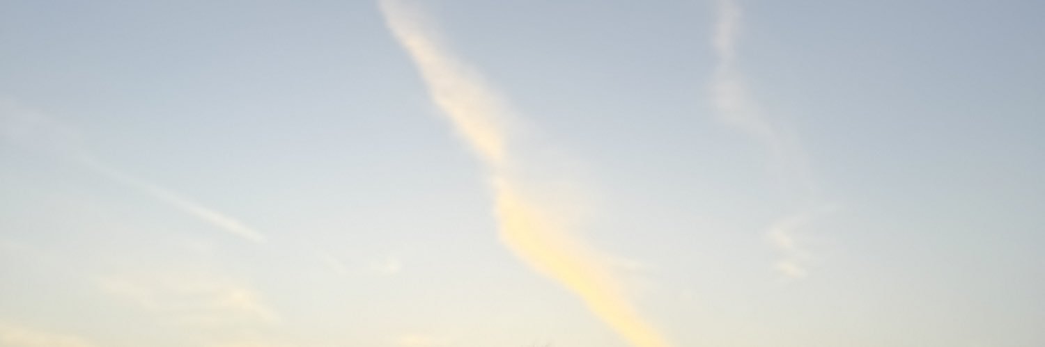 Lucabennaaa's profile banner image