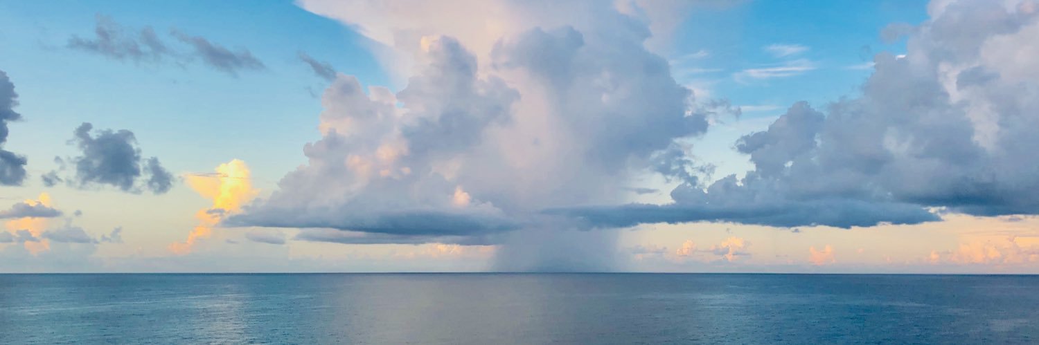 🇺🇸🇺🇸Lesley🇺🇸🇺🇸 banner